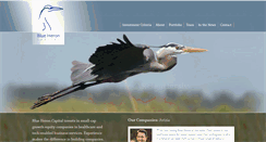 Desktop Screenshot of blueheroncap.com